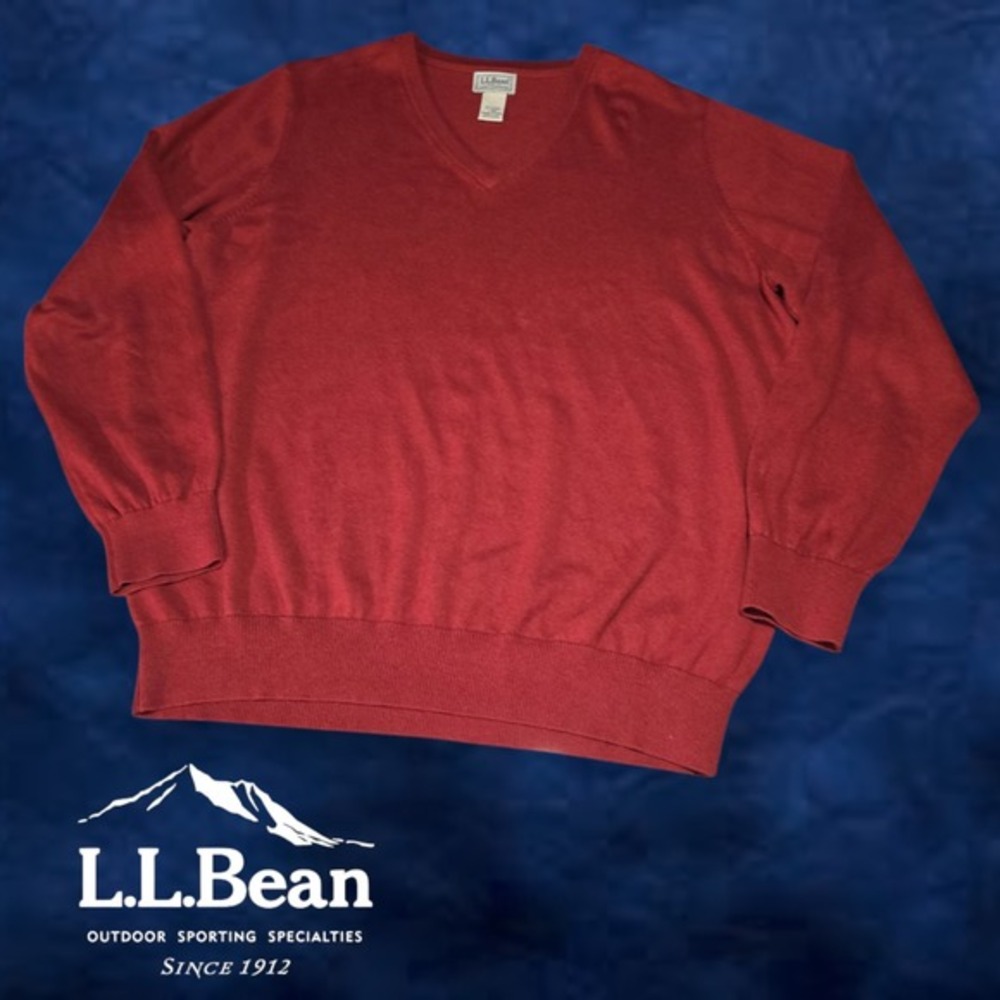 VTG LL Bean Men's Sweater Cotton Cashmere Blend V-neck Normcore 90s Rust Red L